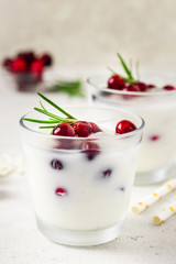 White Christmas cranberry rosemary drink. Selective focus, space for text.