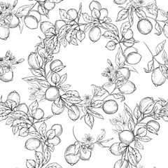 Lemon tree branch with lemons, flowers and leaves. Seamless pattern, background. Outline hand drawing vector illustration in black, white colors.
