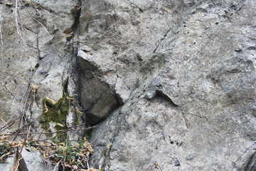 Stone rock texture, background