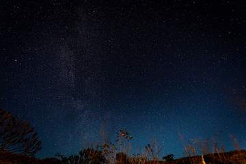 Naklejka premium sky full of stars chapada dos veadeiros