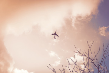 silhouette of an airplane flying in red clouds, bottom view