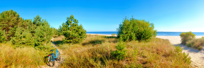 Forest protecting beaches of the Baltic Sea, with sandy entrance and a bike, panoramic image taken on island Usedom between Albeck in Germany and Swinemunde in Poland.
