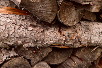 Abstract wood background. A pile of stacked dry firewood. Close-up, cropped shot, horizontal, free...