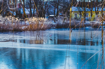 Ice and snow at a rural pond in Berlin, Germany, with a crane (Gruidae) on the ice.