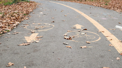 Bicycle lane on the side of a city road in the fall. Road marking in the form of two oncoming arrows on an asphalt path in the autumn park. Fallen leaves in the forest. Fall season concept