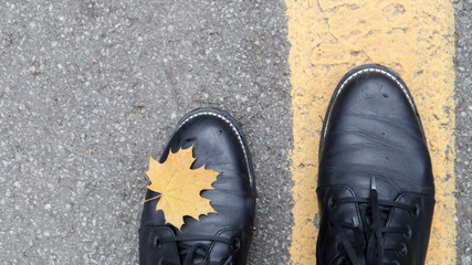 A beautiful combination of a yellow maple autumn leaf next to the yellow road markings and the legs of a girl in black boots in the park. Autumn concept, beautiful background with copy space