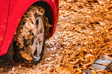 red car wheel in autumn leaves