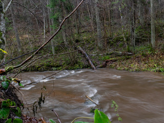 Long exposure of water in small stream, water in motion in autumn forest