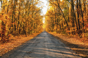 Autumn road with single car in the distance