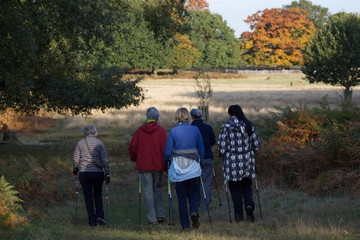 Walking through the park