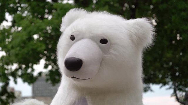 Person in a costume of white bear. Polar bear puppet outdoors party