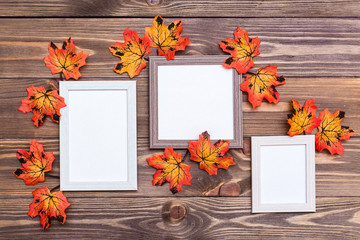 Ready mock up three empty photo frame on a brown wooden background surrounded by orange maple leaves. Copy space
