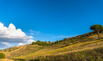 Wonderful Sicilian Landscape, Mazzarino, Caltanissetta, Sicily, Italy, Europe