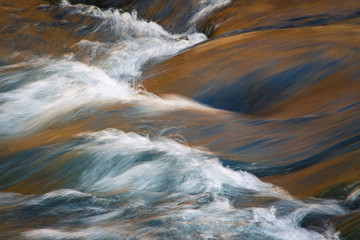 rapid flow of the autumn river