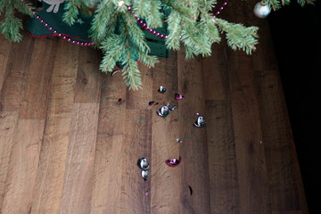  At the end of the Christmas season, the Christmas tree loses its needles. The Christmas...