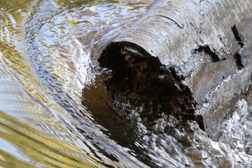Water cascading around log
