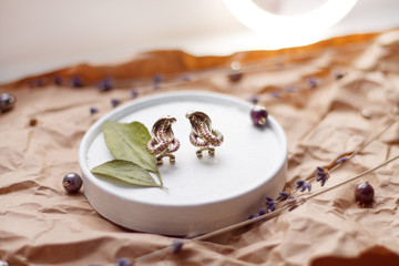 vintage background on Kraft paper with green leaves and dried flowers snake earrings with a glass of water.