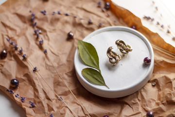 vintage background on Kraft paper with green leaves and dried flowers snake earrings with a glass of water.