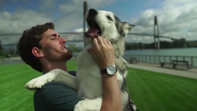 Closeup of Man Holding His Husky In His Arms In the Park