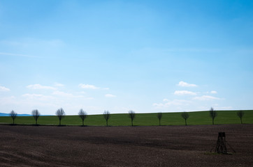 the green field