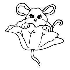Year of Rat 2020, Chinese mouse, Chinese New Year. - Vector Design. Coloring page or book for children adults. Cartoon style - Vector. Vector illustration