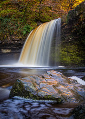 Fototapeta na wymiar The waterfall known as Lady Falls or Sgwd Gwladus after prolonged rainfall on the river Afon Pyrddin near Pontneddfechan, South Wales, UK known as Waterfall Country