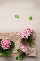Branches of pink hydrangea on paper