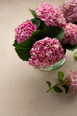 Branches of pink hydrangea in glass vase