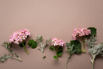 Branches of pink hydrangea top view