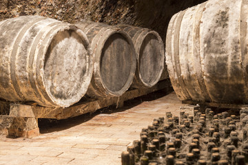 Weinkeller mit alten Flaschen und schimmeligen Fässer