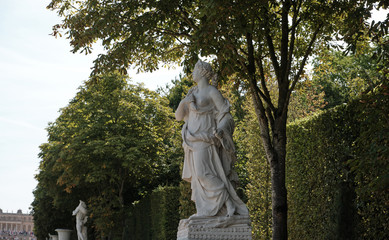 Fototapeta premium estatua en los jardines del palacio de versalles