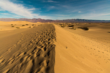 Fototapeta na wymiar Sand dune in Death Valley