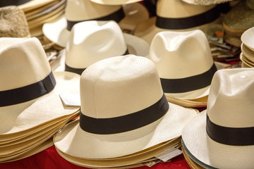 assortment of genuine hand-made panama hat on a shelf - Powered by Adobe