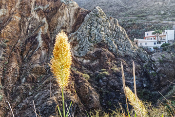 Die raue schroffe Steilküste im Norden von Teneriffa. Beliebte Badebuchten mit Sandstrand zwischen...