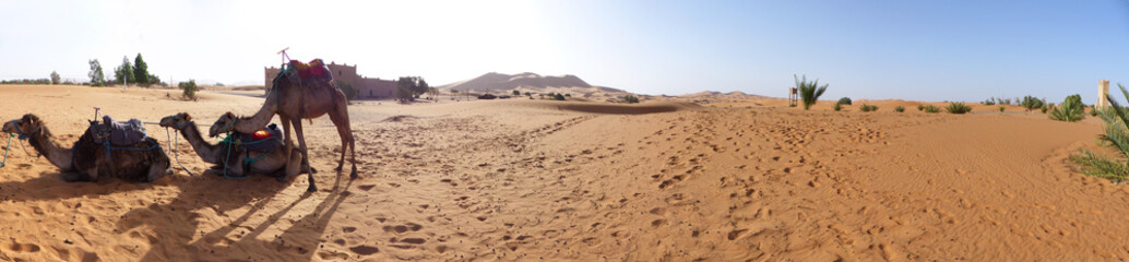 Panoramic view of dunes in the desert of Erg Chebbi, Merzouga, Sahara, Morocco. Dromedary caravan with tourists