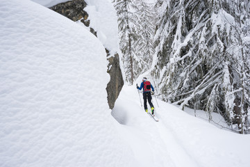 A skier walking through deep snow in a beautiful forest in the Alps - 300443903