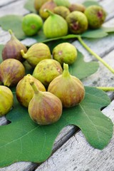 Freshly picked green and purple figs on a fig leaf