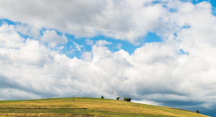 A typical natural landscape: yellow and green fields and lonely trees. Panoramic view. Daytime countryside landscape under cloudy sky in Romania, Europe