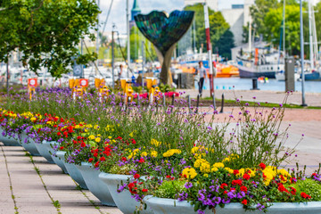 Beautiful flowers fill pots along the Aura River in Turku, Finland in the summertime. 