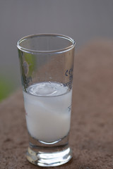 small glasses with white alcoholic beverage,small glasses with white alcoholic beverage