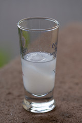 small glasses with white alcoholic beverage,small glasses with white alcoholic beverage