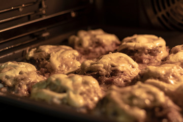 Cooking meat in the oven at home. The door is open. the horizon is littered.
