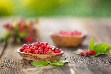 Fresh Wild strawberries on wooden background