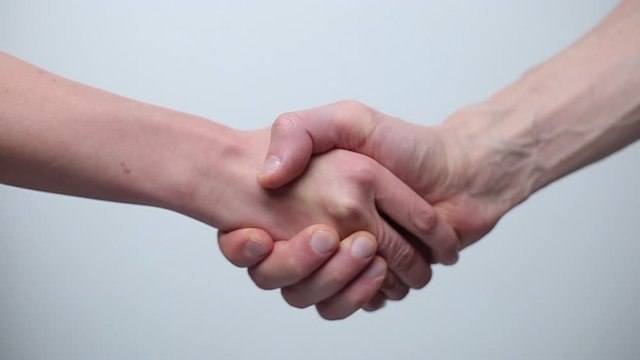 Close-up of a partners shaking hands on a white background.