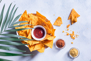 Traditional mexican snack nachos with sauce, spices and palm branch on a white background