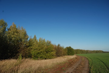 Obraz premium cloudless october