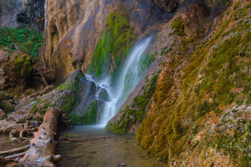 Close detail of Pisoaia waterfall streaming down through the moss in Apuseni Mountains, Transylvania, Romania