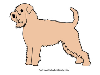 Dog vector vector illustration isolated