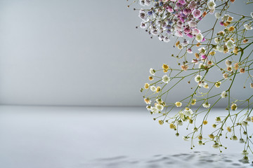 Sprigs of natural flowers in delicate shades on a gray background