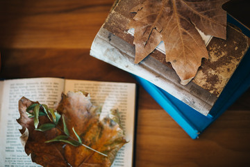 old historical books with autumn leaves. Vintage November background for reading 